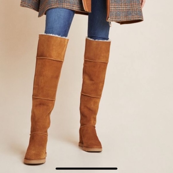 ugg femme tall ugg femme tall
